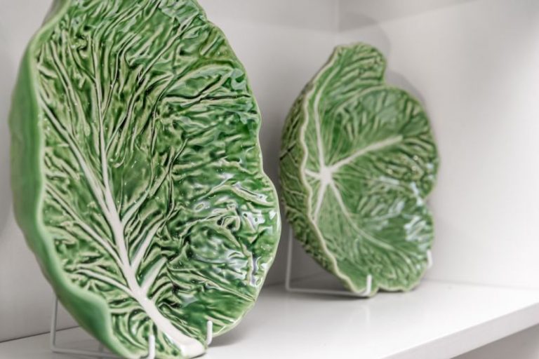 Shelving Solutions - a couple of leaf shaped plates sitting on top of a shelf