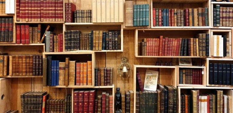 Bookshelves - books on the shelf photograph