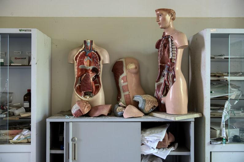Shelving Solutions - body anatomy mannequins on table