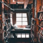 Bookshelves - library interior