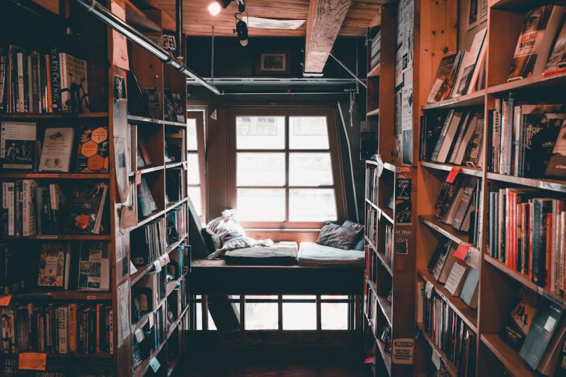 Bookshelves - library interior