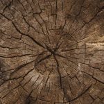 Materials - macro photography of brown plank