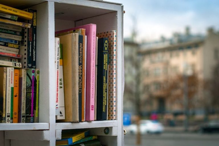 Outdoor Shelves - books in cubby shelf