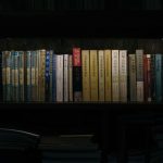 Shelving Solutions - books on bookshelf