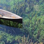 Floating Shelves - black wooden canoe on body of water