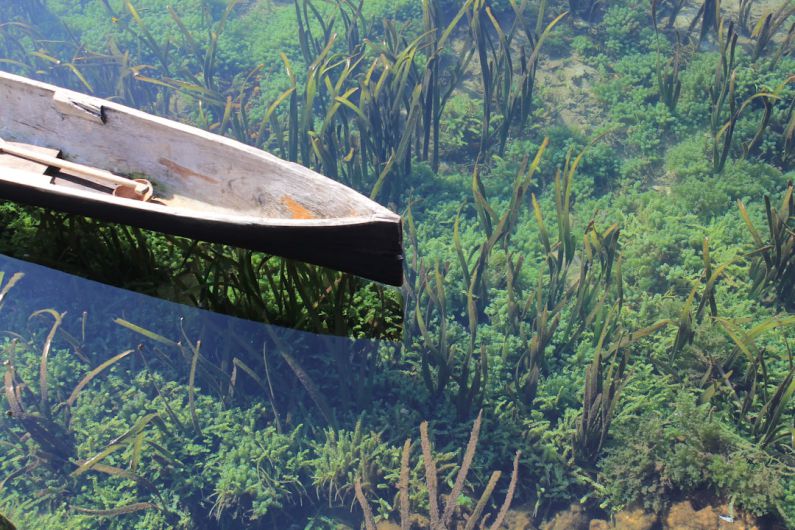 Floating Shelves - black wooden canoe on body of water