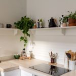 Kitchen Shelves - green plant on white ceramic vase