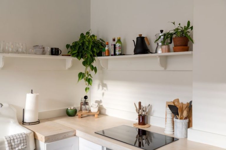 Kitchen Shelves - green plant on white ceramic vase